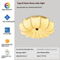 French Printed Ceiling Lamp