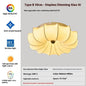 French Printed Ceiling Lamp
